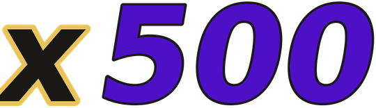 x500 logo